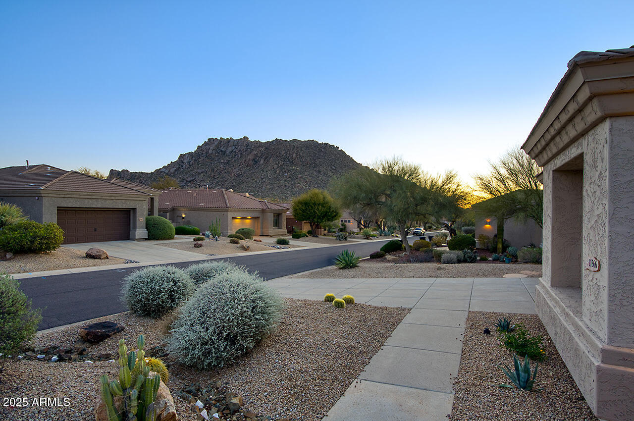 Photos of 11566 E Christmas Cholla Dr Scottsdale AZ 85255