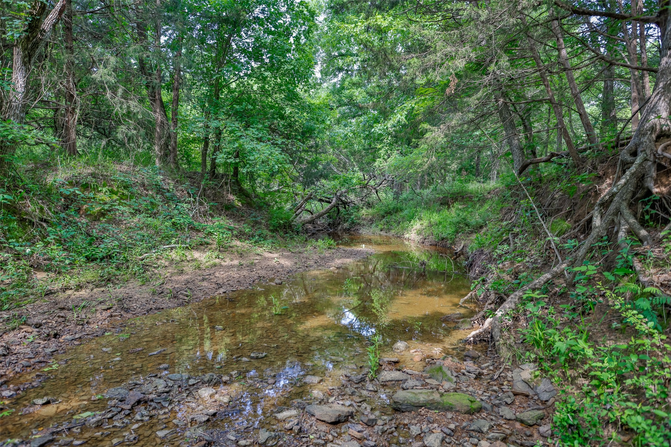 Photos of 783 County Road 128 Gainesville TX 76240
