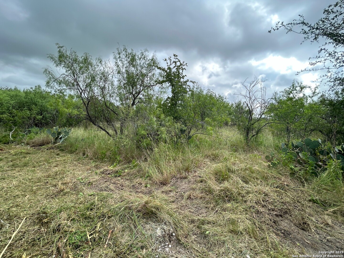 Photos of 1513 Old US Highway 90 W Castroville TX 78009