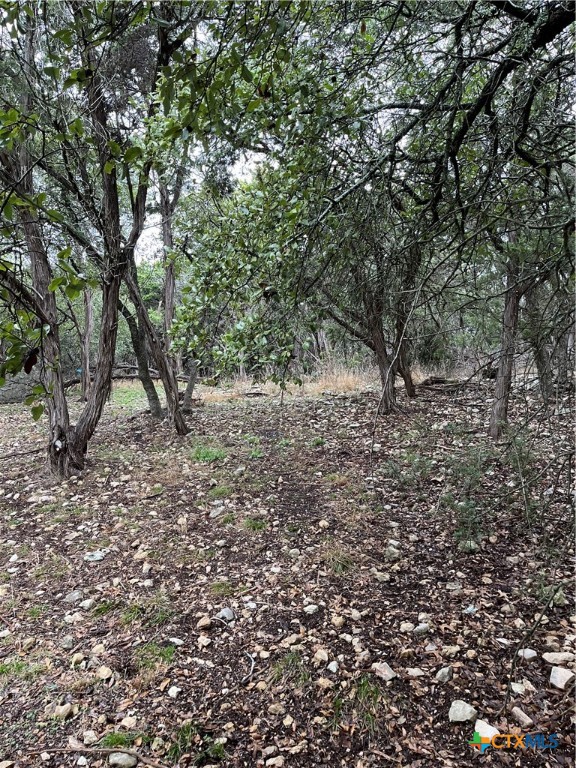 Photos of 351 Duck Mountain Ln Canyon Lake TX 78133